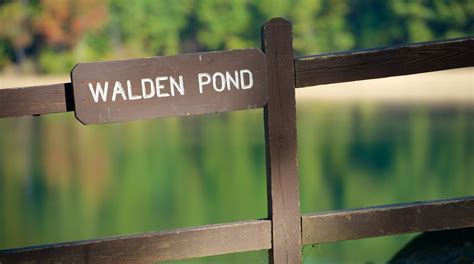 Walden Pond Tours Book Now Expedia