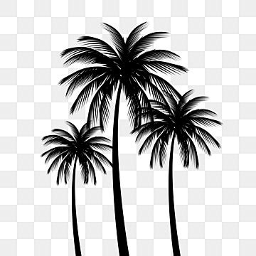 Palm Tree Vector PNG Vector PSD And Clipart With Transparent Background For Free Download