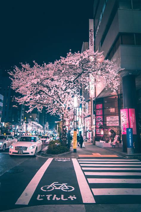 Blossom Tree In Japan At Night 15 Truly Astounding Places To Visit In
