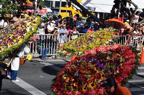 Our Life In Medellin Colombia Feria De Los Flores Flower Festival