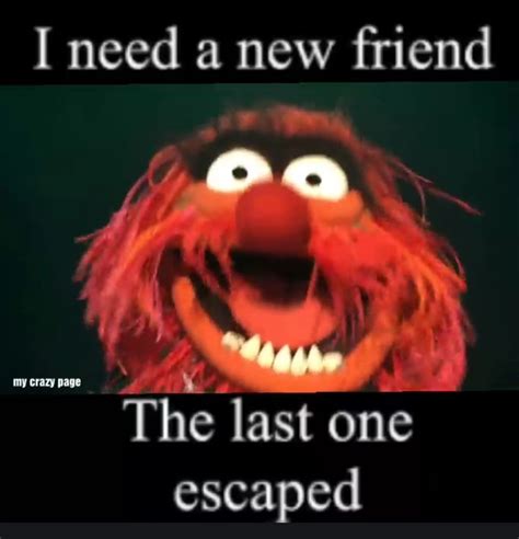 I Need A New Friend The Last One Escaped ~ Animal Muppets Funny