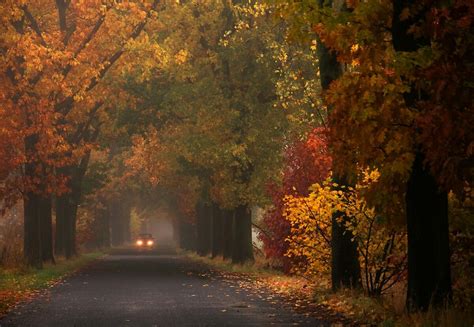 Pin by Laura Bauer on Autumn ( Fall ) | Autumn scenery, Autumn magic, Autumn cozy