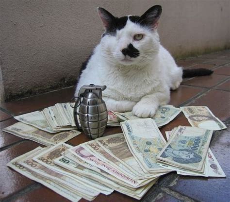 A Few Very Wealthy Cats 25 Pics