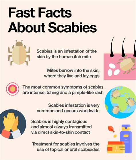 dr sebi s complete guide to scabies treatment at home paperback ph