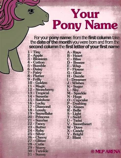 Whats Your Pony Name T Shirts And Apparel For Bronies