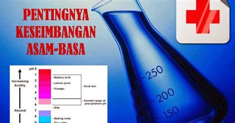 Check spelling or type a new query. LAPORAN PRAKTIKUM KIMA (SIFAT ASAM BASA) ~ Pemberi Ilmu