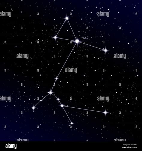 Canis Major Constellation With Sirius Star Stock Vector Image And Art Alamy
