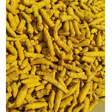 Kandhamal Double Polished Turmeric Fingers 50 Kg At Rs 150 Kg In