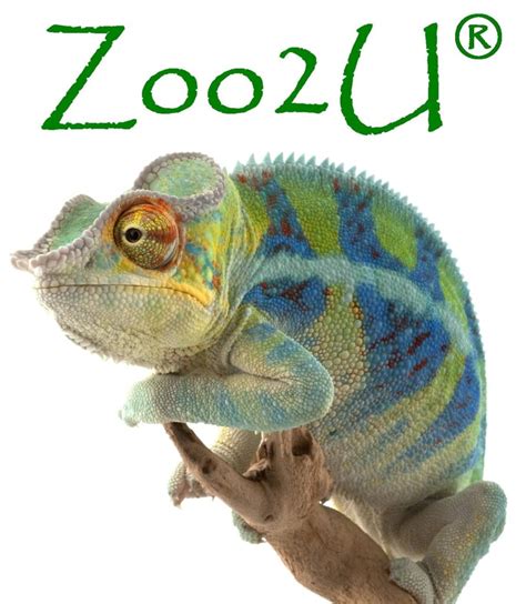 Zoo2u Fascinating Animal Zoo M8 Entertainments Music And