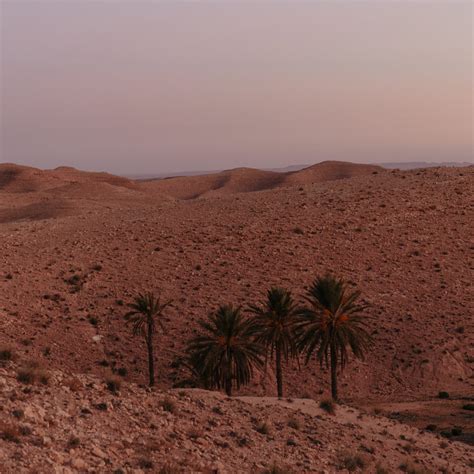 Through Mountains And Deserts A Visual Journey Of Southern Tunisia