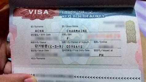 Cara Membuat Visa Korea Selatan Yang Mudah Dan Cepat