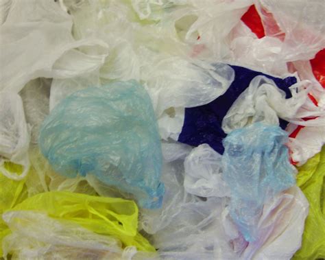 Fact Checkdo Bag Taxes Induce Shoppers To Bring Reusable Bags And Get Rid Of Plastic Bags