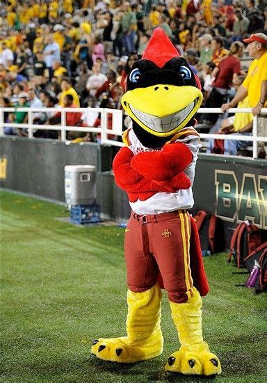 Pin On The Best Of College Mascots