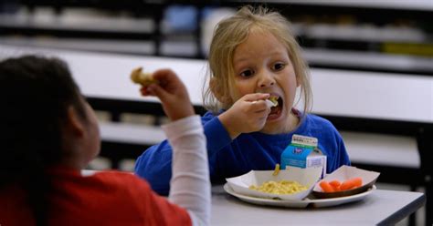 Food Insecurity Among American Public School Students Requires Aid
