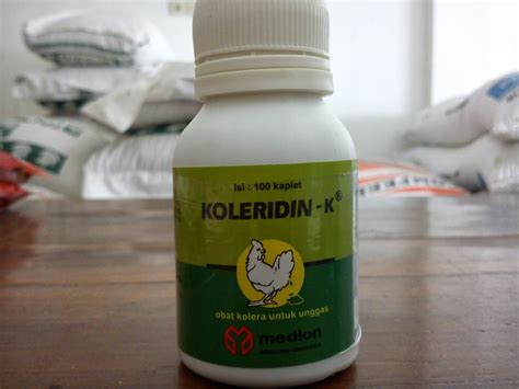 A bagai cicak makan kapur b bagai kumbang putus tali. TOKO PERTANIAN, PETERNAKAN DAN PERIKANAN: OBAT AYAM BERAK ...