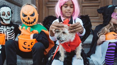 The Average Cost Of Halloween Bankrate