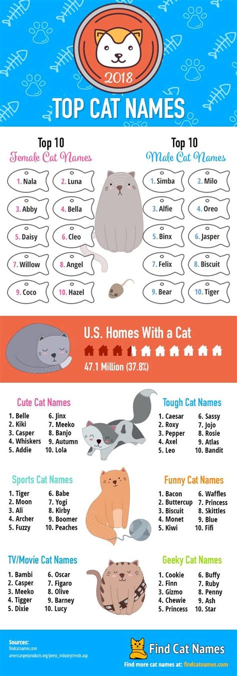 Were Excited To Announce The Top Cat Names Of 2018 As Determined By