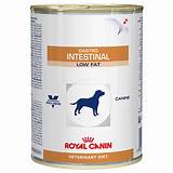 Images of Royal Canin Gastro Intestinal Low Fat Canned Dog Food