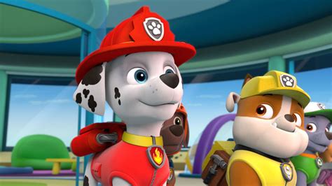 Marshall Paw Patrol Relation Ship Wiki Fandom Powered By Wikia