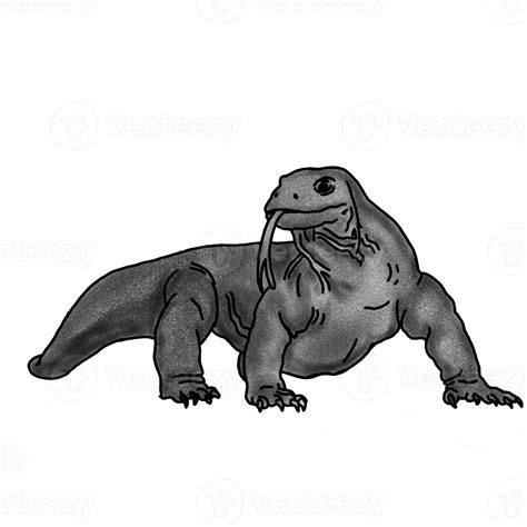 Free Komodo Dragon Illustration With Pencil Shading Style 13395638 Png