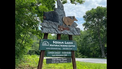 Squam Lakes Natural Science Center ~ Holderness Nh Youtube