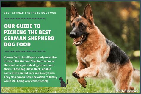 Our top 15 picks for 2021. 10 Best Dog Foods For German Shepherds (GSD's) in 2019