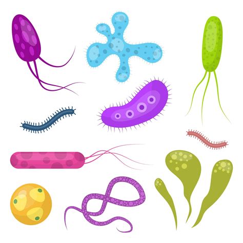 Virus Bacteria Isolated On White Background 1213934 Vector Art At Vecteezy