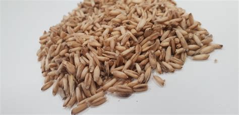 Naked Oats Cope Seeds Grain