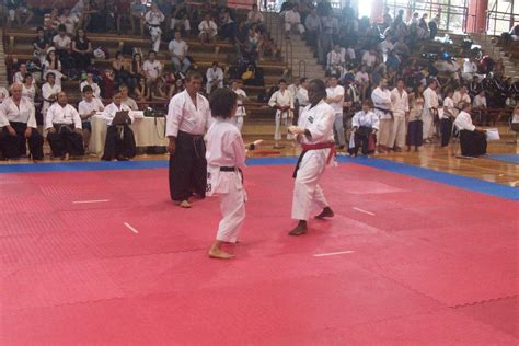 karate jka xvi campeonato panamericano de karate tradicional