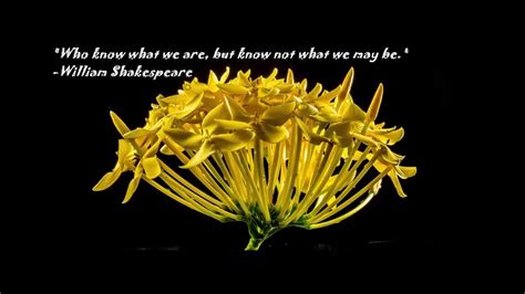 Check spelling or type a new query. 27+ Beautiful Flower Images With Inspirational Quotes ...