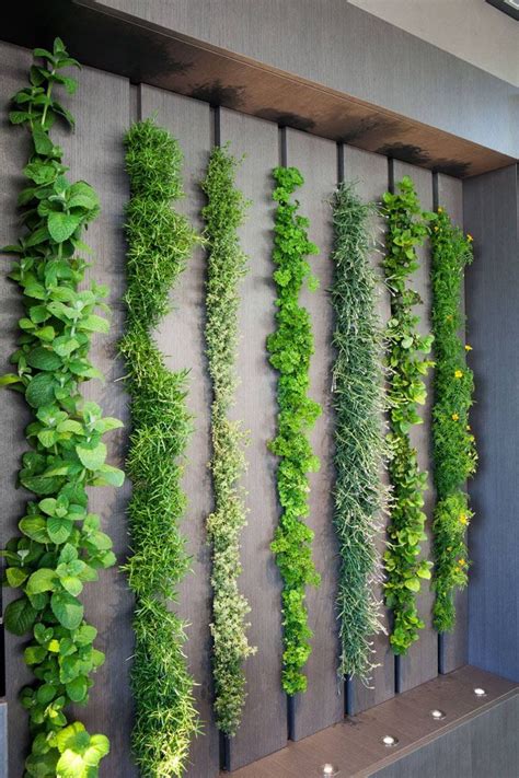 This Living Wall In A Kitchen Can Be Used As An Indoor Herb Garden