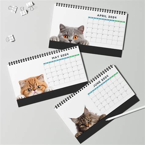 Peeking Cat Calendar Peeking Cat Desk Calendar Cat Desk Calendar Cat