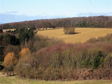 Free Images Landscape Tree Nature Grass Marsh Wilderness Field