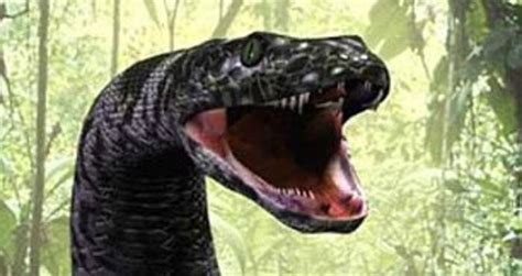 Titanoboa Vs Anaconda Size