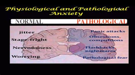 Anxiolytic Screening Model Ppt