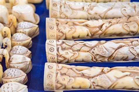 Illegal Ivory Trade Continues To Thrive In Europe Ivory Trade Racial