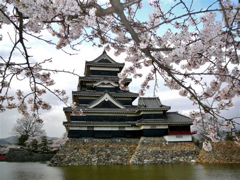 Matsumoto Castle With Cherry Blossoms Stock Image Everypixel