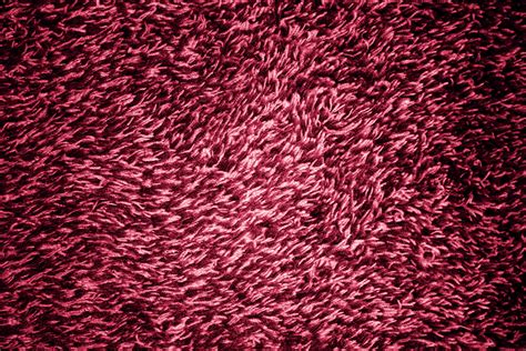 Magenta Or Hot Pink Shag Carpeting Texture Picture Free Photograph