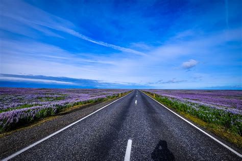 Straight Road Pictures Download Free Images On Unsplash