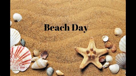 Beach Day Youtube