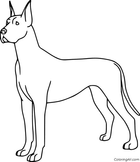 12 Free Printable Great Dane Coloring Pages Easy To Print From Any Device And Automatically Fit
