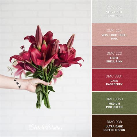 Maroon Stargazer Embroidery Color Palette With Thread Codes