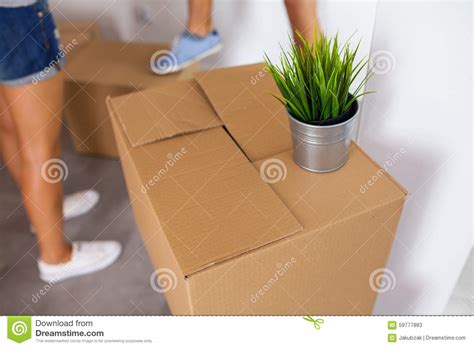 Moving Box With A Plant On It Time To Unpack Close Up Stock Image