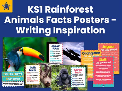 Top 180 Tropical Rainforest Animals Facts