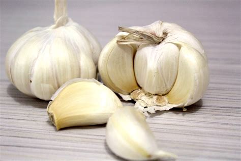 Garlic Free Stock Photo Public Domain Pictures