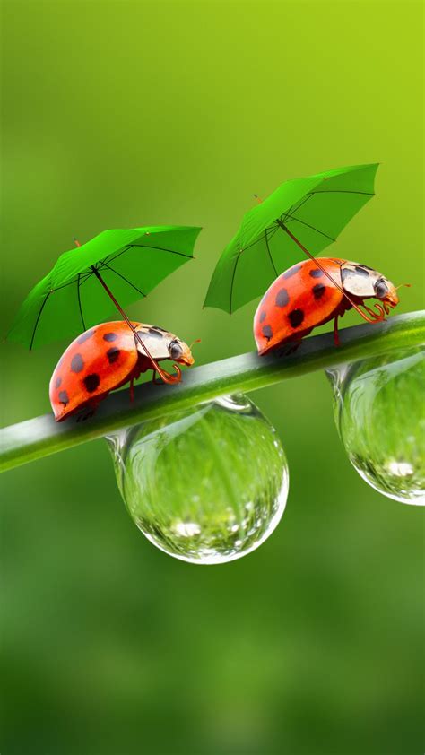 Cute Insect Wallpapers Wallpaper Cave