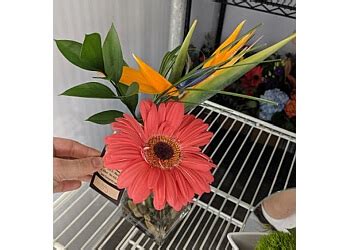 3 Best Florists in St. Albert, AB - Expert Recommendations
