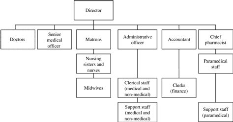 Organizational Chart Of The Hospital Download Scientific Diagram