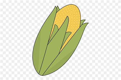 Ear Of Corn Clip Art Ear Of Corn Image Corn Clipart Png Stunning