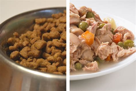 There is always a range of qualities available. Dry Vs. Wet Food: Which One is The Best for Your Dog ...